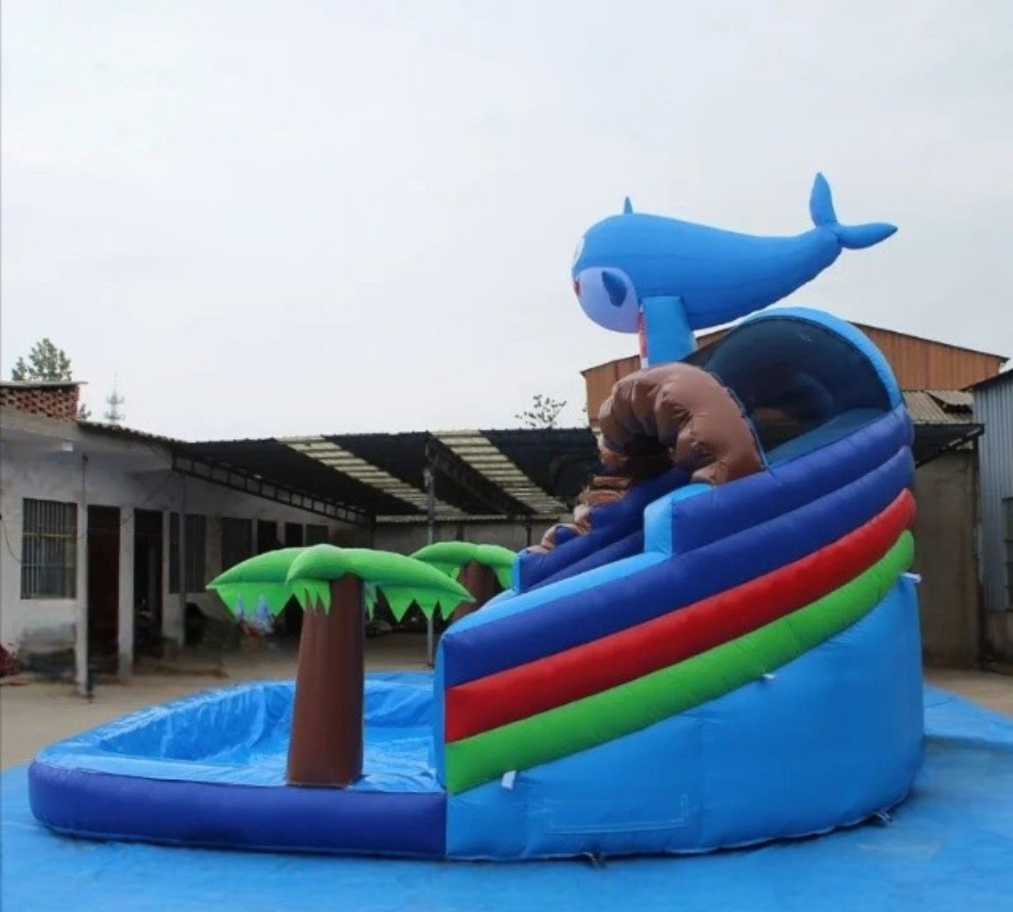 Baby Shark
